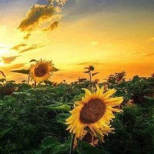 Meet your Posher, Vicki