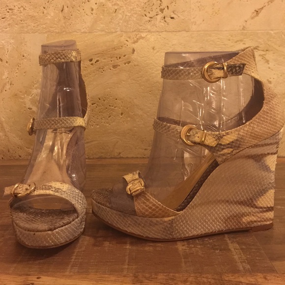 Sergio Zelcer platforms