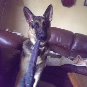 Meet your Posher, Virginia