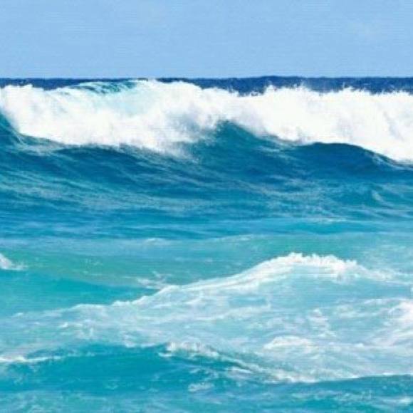 Meet your Posher, Miyoung - Picture 1 of 1