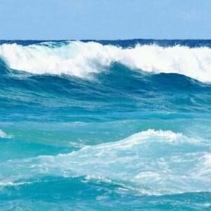 Meet your Posher, Miyoung