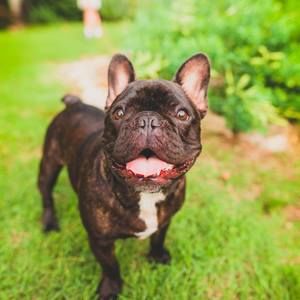 Meet your Posher, Dana