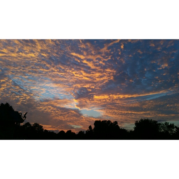 Meet your Posher, Cody - Picture 3 of 4