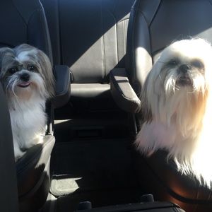 Meet your Posher, Janis