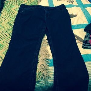 Lane Bryant bootcut jeans