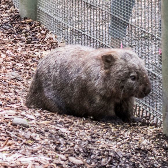 Meet your Posher, Christie - Picture 1 of 1