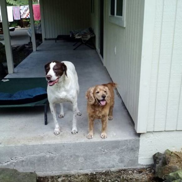 Meet your Posher, Ronna - Picture 1 of 1