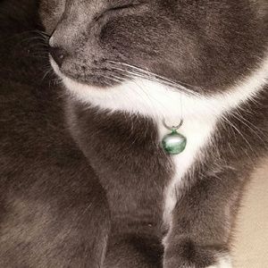 Meet your Posher, Kara