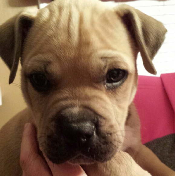 Information - Picture 2 of 2