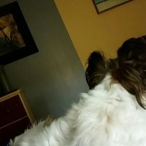 Meet your Posher, Carol