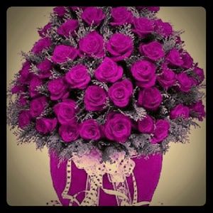 Meet your Posher, Ida