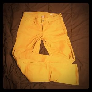 ARIZONA MUSTARD💛⚡️💛