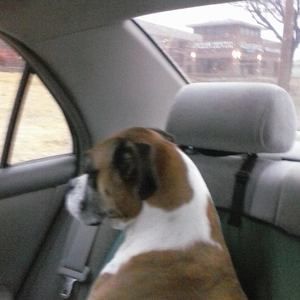 Meet your Posher, Debora