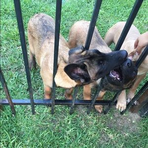 Meet your Posher, Suzette