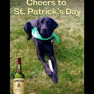 Meet your Posher, Briana