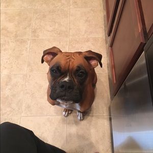 Meet your Posher, Elizabeth