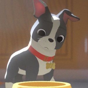 BUNDLE FOR REBELEIGH