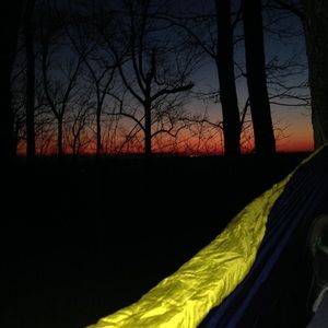 Meet your Posher, Riley