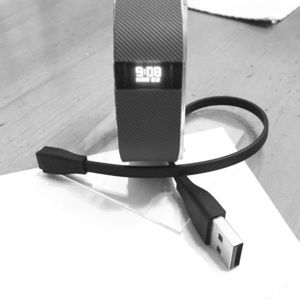 Large FitBit Charge in Slate Blue