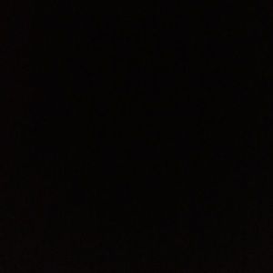 Meet your Posher, Ronnie