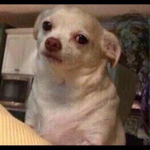 Meet your Posher, Hanna