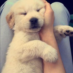 Meet your Posher, Natalie