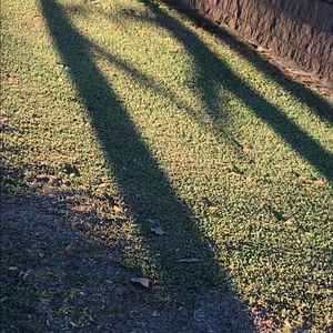 Meet your Posher, Sully