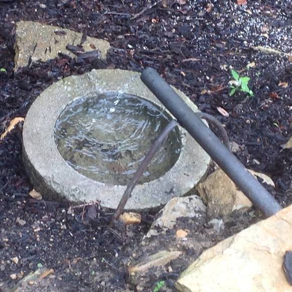 Meet your Posher, Debbie - Picture 1 of 1