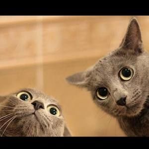 Meet your Posher, Tracey