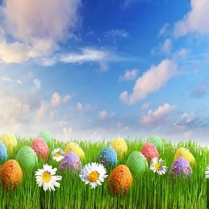 Meet your Posher, Antoinette