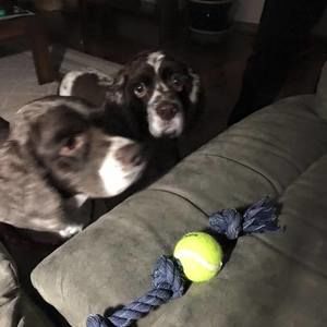 Meet your Posher, Janice