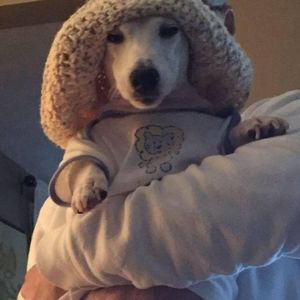 Meet your Posher, Christine