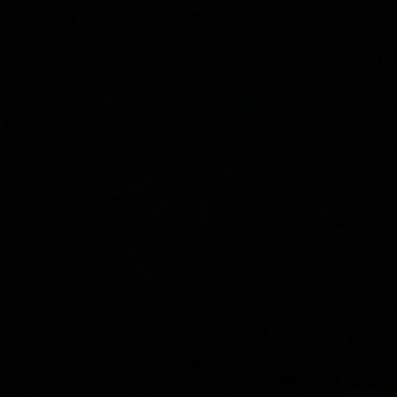 Meet your Posher, Valentina - Picture 1 of 1