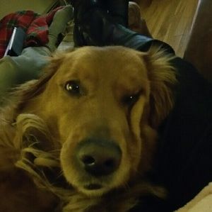 Meet your Posher, Alicia