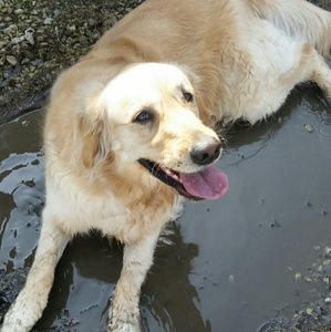 Meet your Posher, Kathleen