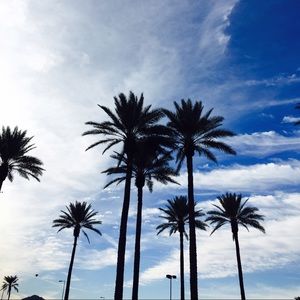 Meet your Posher, Elsie