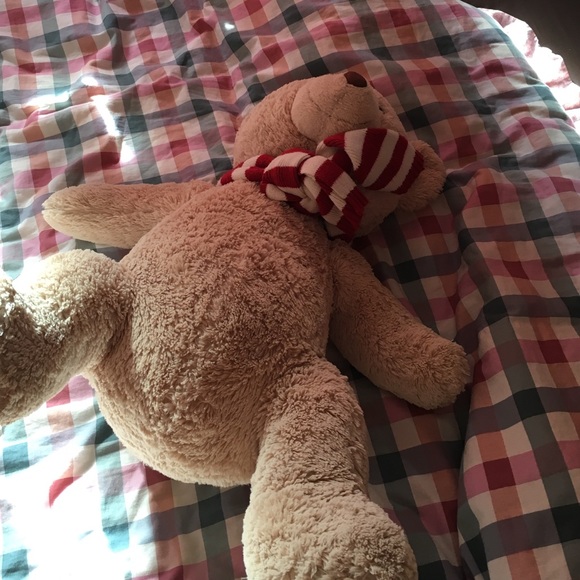 Brand new teddy bear (yellow white with a scarf)