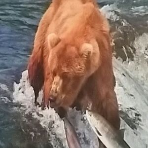 Meet your Posher, Nancy