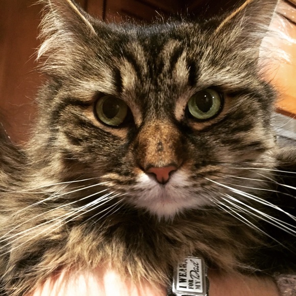 Meet your Seller/Buyer, Jennifer - Picture 3 of 4