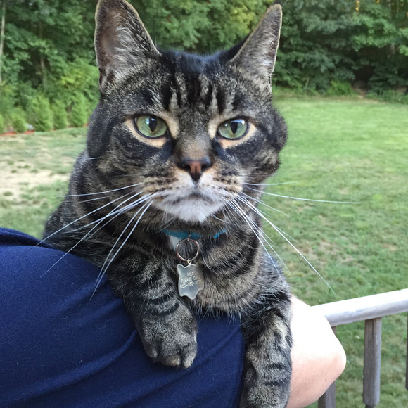 Meet your Seller/Buyer, Jennifer - Picture 4 of 4