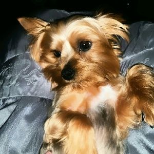 Meet your Posher, Courtney