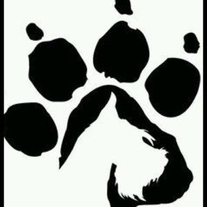 Meet your Posher, Christal