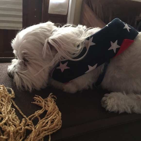 Meet your Posher, Cinthia - Picture 4 of 6