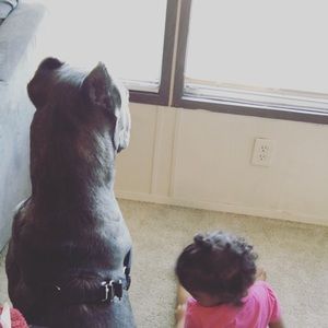 Meet your Posher, Katie