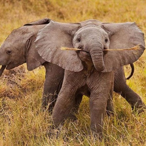 Help Save Me! - Picture 2 of 4