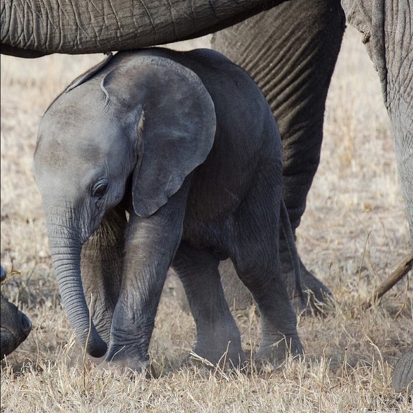 Help Save Me! - Picture 3 of 4