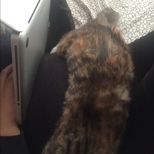 Meet your Posher, Eli