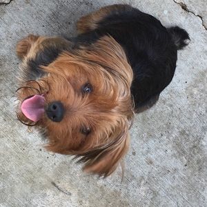 Meet your Posher, Rick