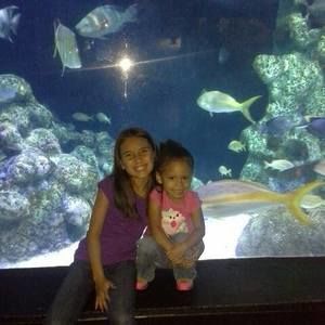 Meet your Posher, Annah