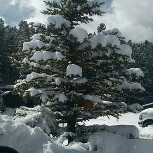 Meet your Posher, Donna Mae